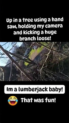 Up in a tree using a hand saw, holding my camera and kicking a huge branch loose! #life #funny #fun