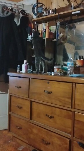 Kristan Preo on Reels