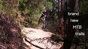 It’s the gateway to Cradle Mountain and is known as the town of murals. Welcome to Sheffield: Tasmania’s Outdoor Art Gallery 🎨😍 Learn about its hidden gems and VOTE to crown it Tassie's Top Tourism Town >> https://bit.ly/3azBFuL | The Mercury Newspaper