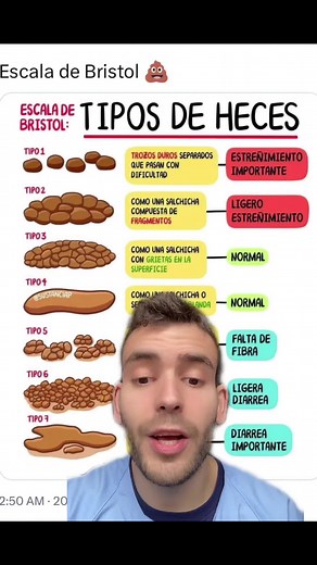 Tipos de heces y su significado según la escala de Bristol