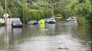 5.9K views · 65 reactions | Look how deep the water is on North Flagler Drive at 31st Street. https://cbs12.com/weather | CBS 12 News | Facebook