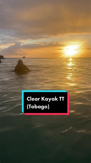 Clear Kayak TT Review - A Fun Glass Kayak Adventure in Tobago