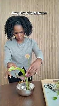 Have You Tried Ikebana?