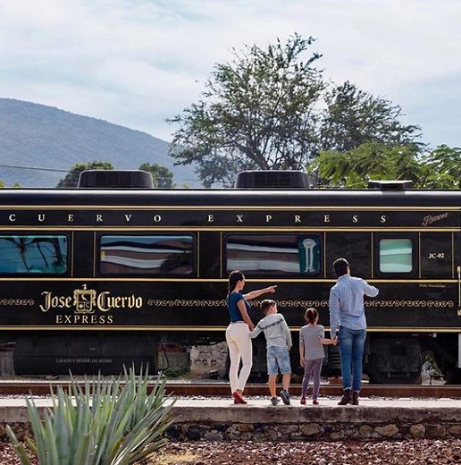 83K views · 165 reactions | All aboard the tequila train! | In The Know Travel | Facebook