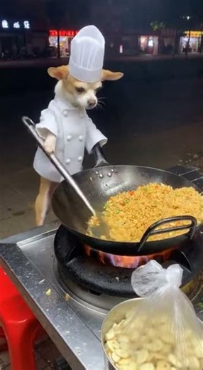 When Pipi is a chef😆🐶😅 #shorts