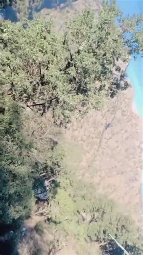 Jai mata di vashnu davi #viralpost #viralreels #video #songs #like #shar #newreel #viral #trendinga.