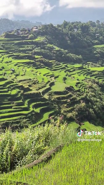 Explore the Rice Terraces of Mountain Province, Philippines