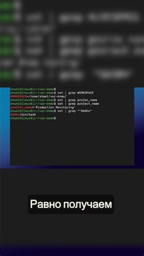 Bash System Variables: What You Need to Know ⚙️