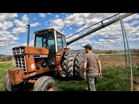 Old International 1086 working ground!