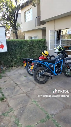 Welcome to Westlands Paws vet clinic. Here we give your pet the professional care it deserves. #grooming #groom #doglovers #WestlandsPawsVet #westlandspaws #Westlandspaws_vetclinic #veterinarylearning #cats_of_world #HappyPets #FurFamilyCare #SafeAndSecure