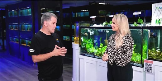 How keeping fish is simpler than you think with Fishy Business