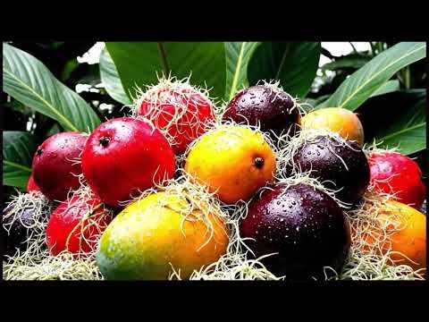 The three colour quarks