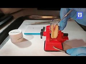 Endodontic treatment of the single rooted tooth. Part 5: Placement of interappointment medicament • Video • MEDtube.net