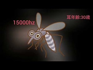 耳年齢チェック（モスキート音）