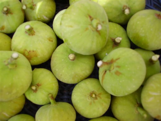 How to Dry Figs in the Sun