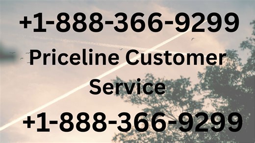 Official Guide to {Priceline™} Customer Service | 24/7 Help & Support Explained
