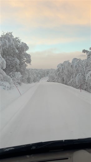 Love cold weather and snowy roads | Aurora Borealis Observatory