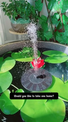 7.9K views · 61 reactions | Solar Bird Bath | Terra Nursery | Facebook