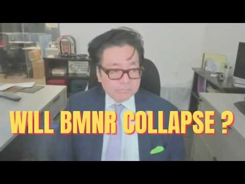 🚨 Tom Lee EXPLODES: "Will $BMNR Collapse Like 2009 Bear Market?"