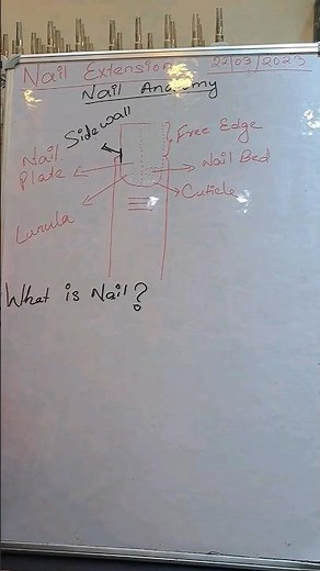 😲Nail Anatomy #nailart