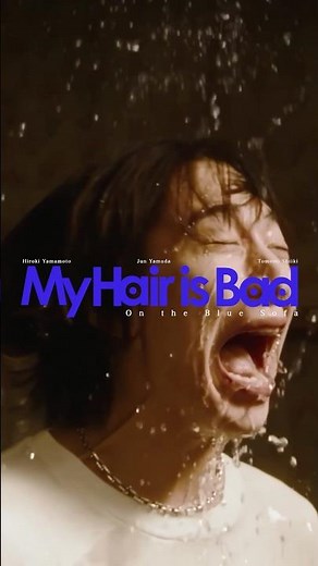 New Music Video「青いソファの上で」公開中 #myhairisbad #マイヘア #cats #青いソファの上で