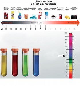 Что такое pH? Шкала и методы измерения pH - Science Debate