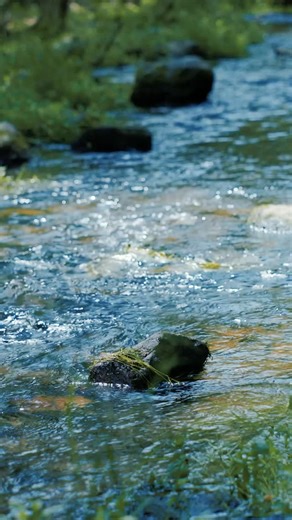 4 comments | Ever wonder who protects the springs behind every bottle of Deer Park? Meet JP, John and Bill — the people keeping our water real and refreshing. Tap follow and stay tuned as we share their stories. #DeerParkSpringWater #KeepItReal | Deer Park Natural Spring Water | Facebook