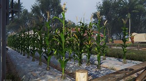 Once Human: Corn Location