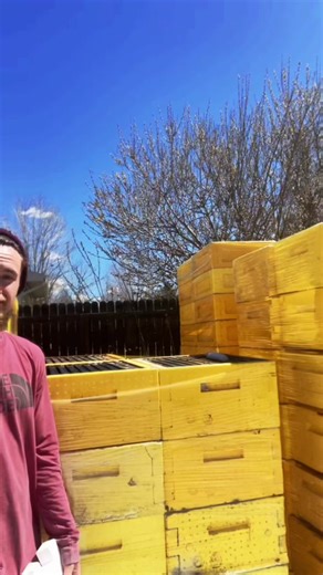 Björn’s Colorado Honey on TikTok