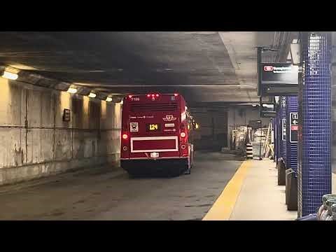 TTC NovaBus LFS HEV departs Lawrence Station
