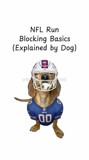 NFL Running Block Basics (Explained by Puppy) #shorts #NFL #dachshund
