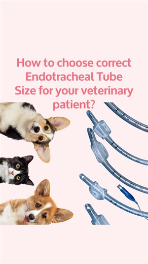 Susanna Solbak on Instagram: "How to choose correct endotracheal tube size for your veterinary patient? Comment below (or DM me): Endotracheal intubation for FREE guide!"