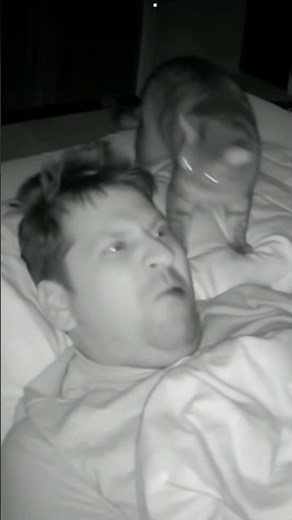 What does the cat do when its owner is sleeping?#cat #funnycat #challenge #fyp #foryou