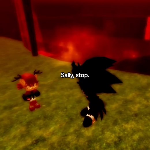 Sonic EXE: Sally Acorn's Shield Breaks Moment