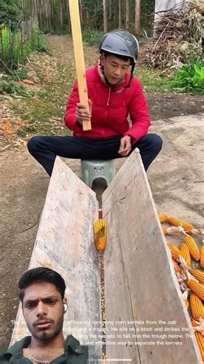 Efficient Corn Kernel Removal: Man Uses Simple Tool to Quickly Separate Kernels