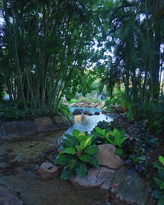 12K views · 211 reactions | Stop scrolling ✋ and enjoy a slow, peaceful morning at Discovery Cove  | Discovery Cove | Facebook