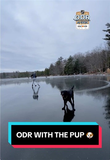 worth the wait 🥰 (🎥: @Betsy) #NHL #SportsTikTok #ODRWeek #hockey