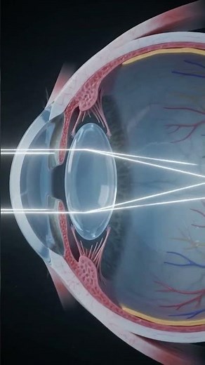 Lens of Human Eye | How it works #biology #science #eyes #lens