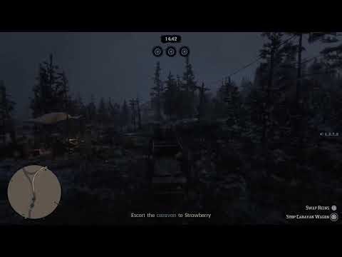 RDO - Gameplay