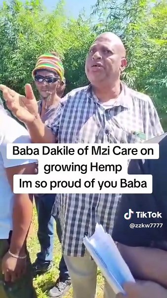 Hemp Business Insights: Costs and Profits Explained