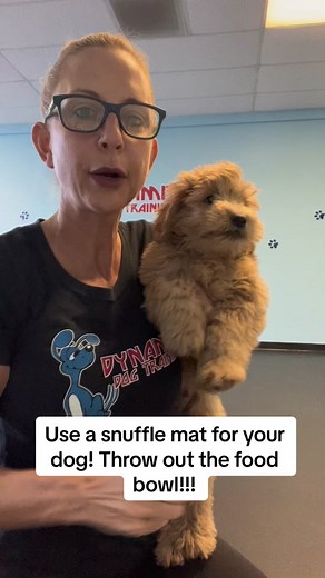 Jamie Diaz on TikTok