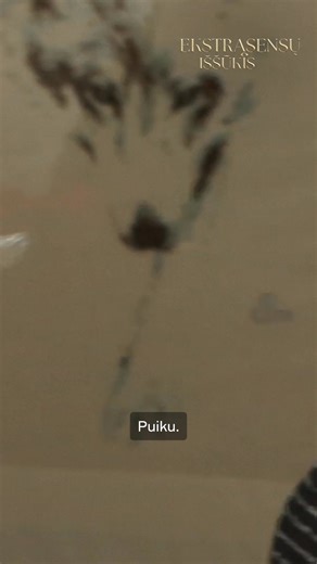 Šešios išskirtinės asmenybės, gyvenimas paslaptingame dvare, 24/7 stebinčios kameros, alinantys išbandymai ir užduotys. 🤯 | Go3 Lietuva