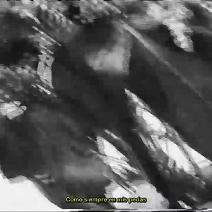 Botella Tras Botella 💔 | Favorita Music