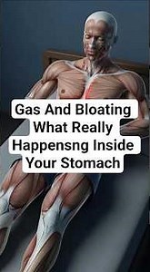 Gas and Bloating: What’s Really Happening Inside Your Stomach (3D Anatomy)
