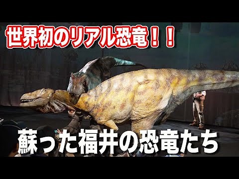 DINO-A-LIVE in 福井県立恐竜博物館リニューアル記念恐竜ライブショー 蘇った福井の恐竜たち 30分ノーカット版 DINO-A-LIVE in dinosaur museum