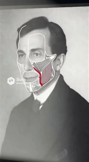 H.H. Holmes & The Micro-Expression That Reveals a Lie