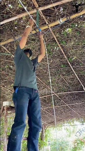 फार्महाउस में Fogger System का जलवा #microirrigation