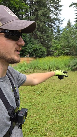 28K views · 600 reactions | Tall Grass & Angry Wasps  Today's project is no joke | Fill's Lawn Care | Facebook