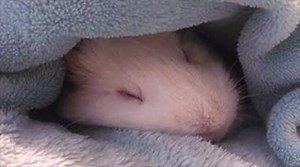 23K views · 255 reactions | Keep your home and workspace toasty with...