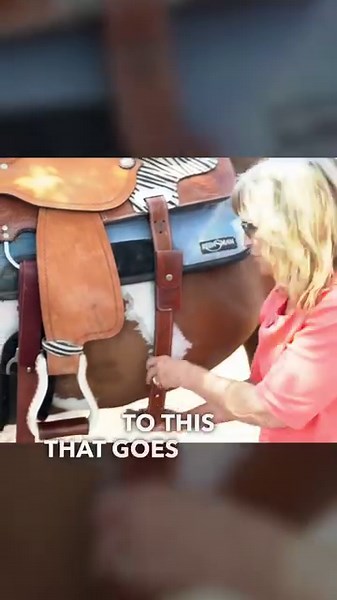 13K views · 232 reactions | Heading out on a trail ride? Be sure to brush up on the different parts of your saddle first #westernsaddle #ridingtips #saddleparts #ridingdisciples | Steady Horse | Facebook